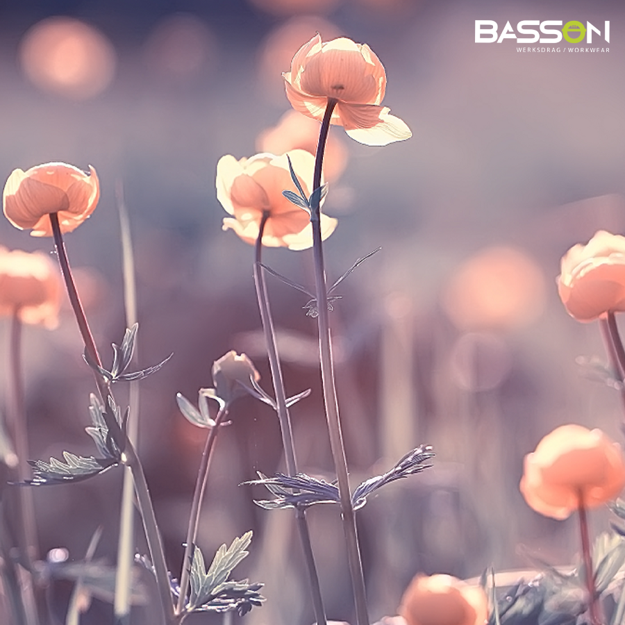 Thank You, Wonderful Women